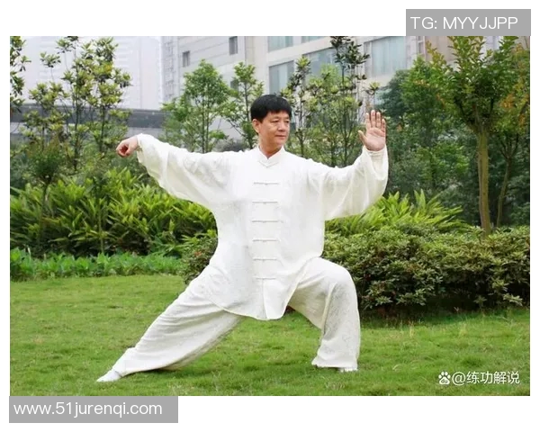 太极拳式的内涵与外延探讨及其对身心健康的积极影响